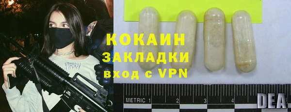 амф Бородино