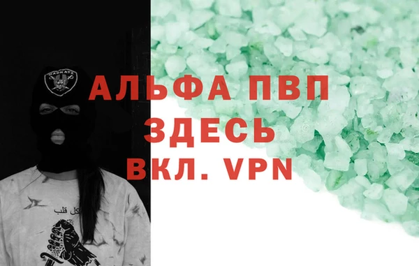 амф Бородино