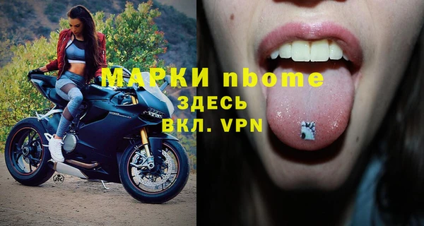 амф Бородино