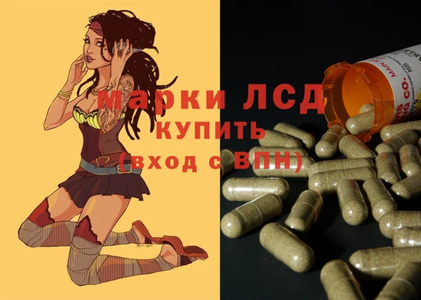 амф Бородино