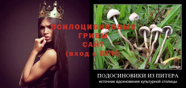 амф Бородино
