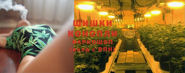 шишки Бронницы