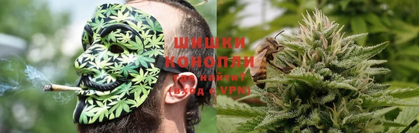 шишки Бронницы