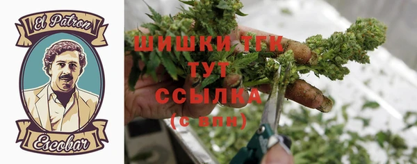 амф Бородино