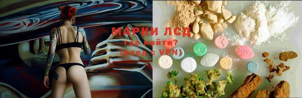 шишки Бронницы